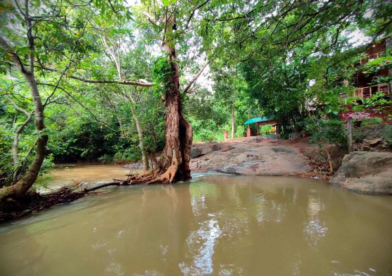 Sigiriya River Side Villa Zewnętrze zdjęcie