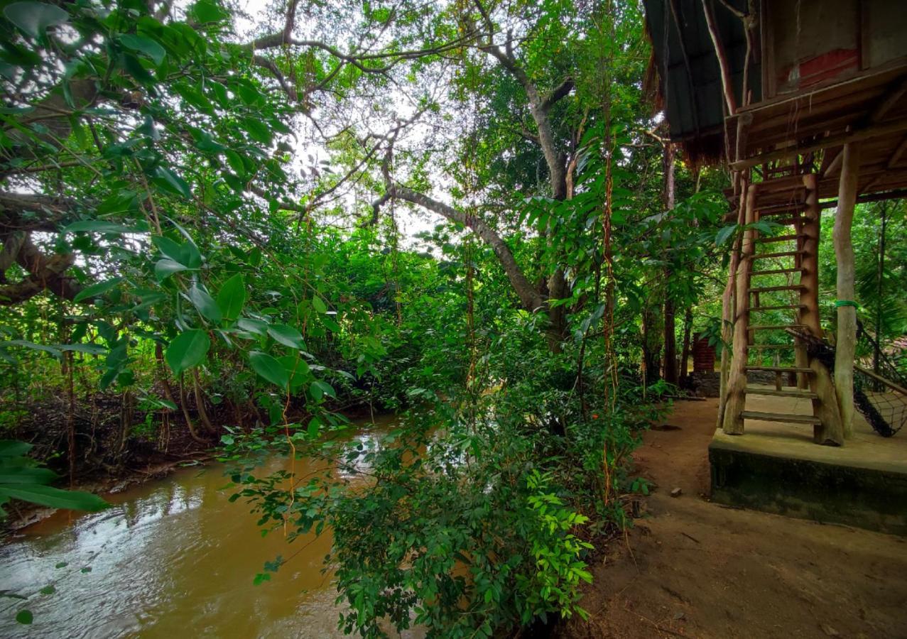 Sigiriya River Side Villa Zewnętrze zdjęcie