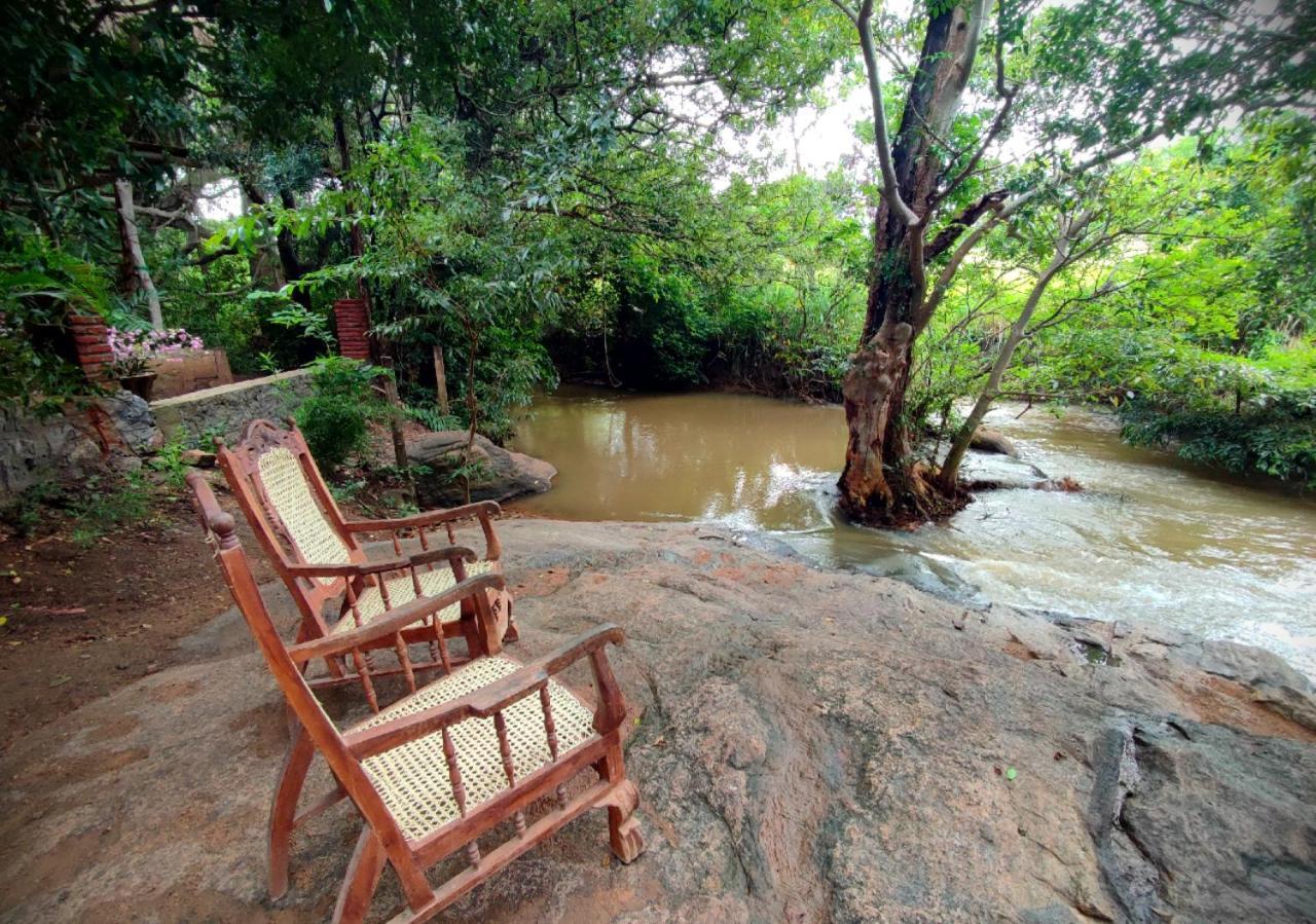 Sigiriya River Side Villa Zewnętrze zdjęcie