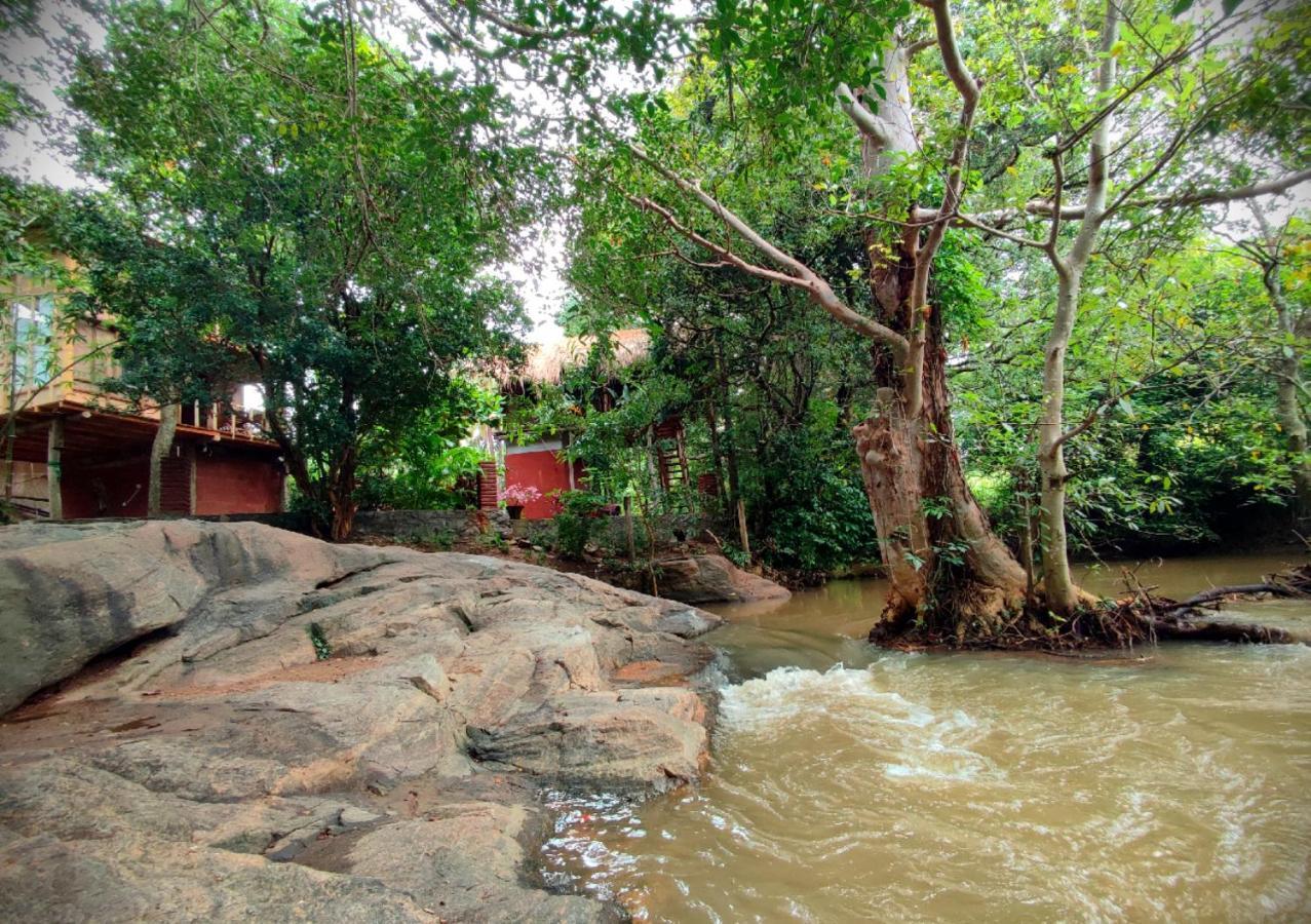 Sigiriya River Side Villa Zewnętrze zdjęcie