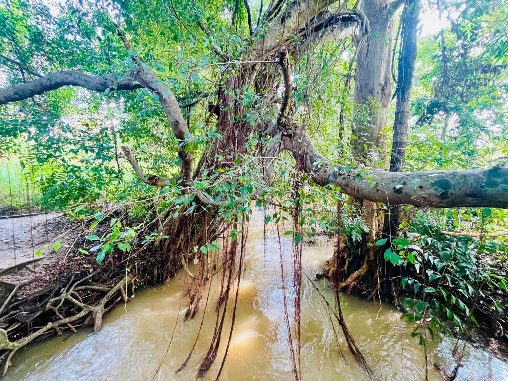 Sigiriya River Side Villa Zewnętrze zdjęcie