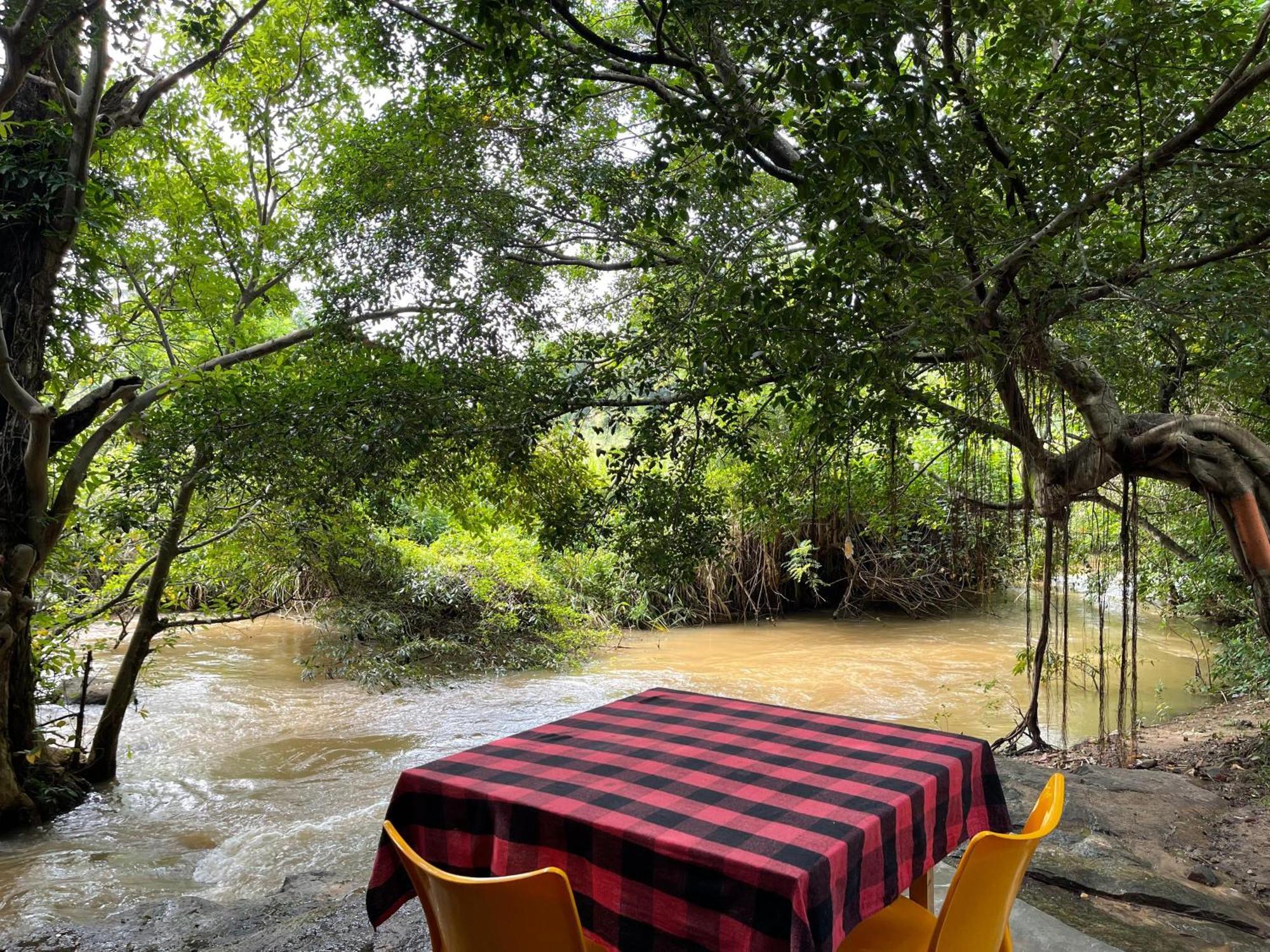 Sigiriya River Side Villa Zewnętrze zdjęcie