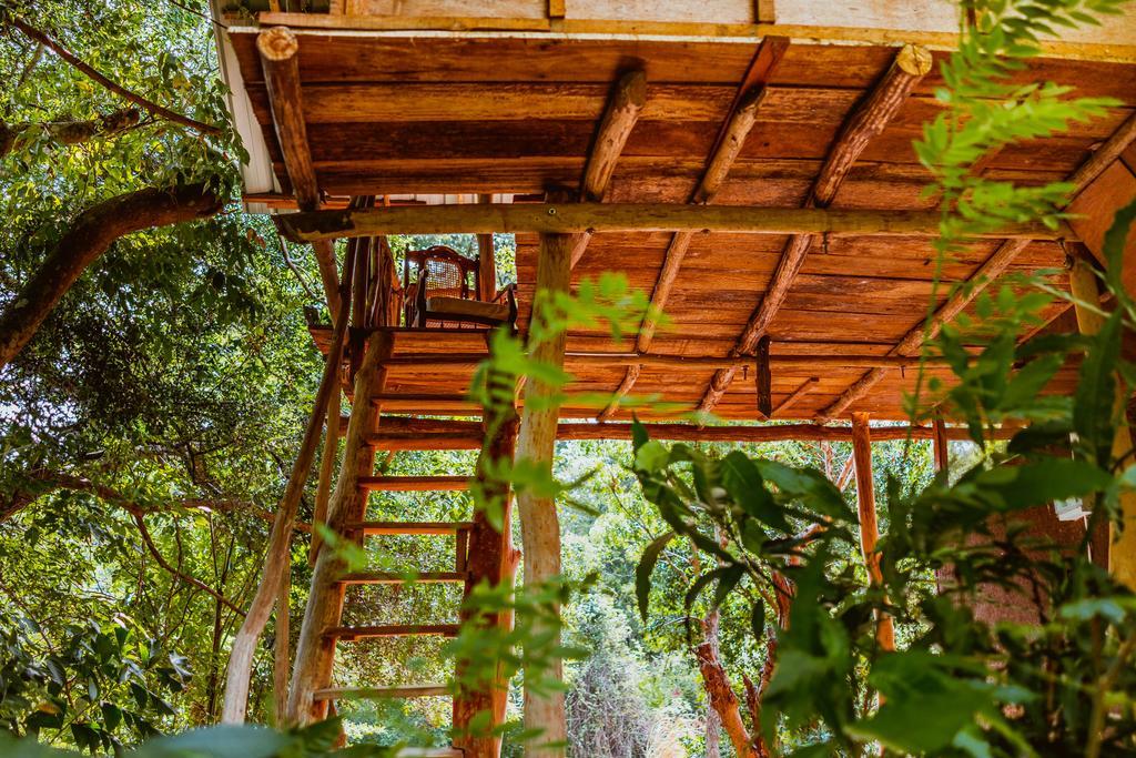 Sigiriya River Side Villa Zewnętrze zdjęcie
