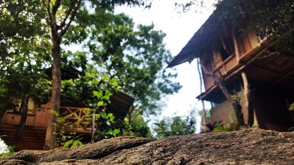 Sigiriya River Side Villa Zewnętrze zdjęcie
