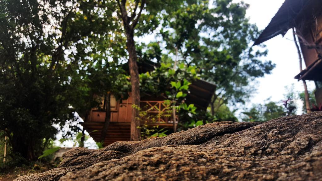 Sigiriya River Side Villa Zewnętrze zdjęcie