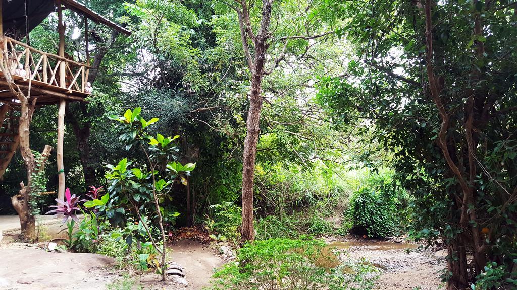 Sigiriya River Side Villa Zewnętrze zdjęcie