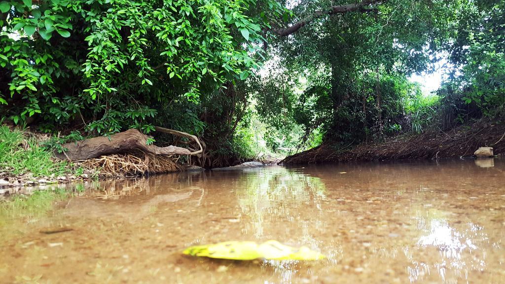 Sigiriya River Side Villa Zewnętrze zdjęcie